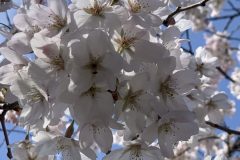 IMG_1421-scaled