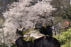 IMG_1424-scaled