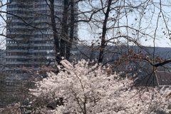 IMG_1428-scaled