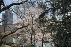 IMG_1440-scaled