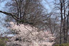 IMG_1442-scaled