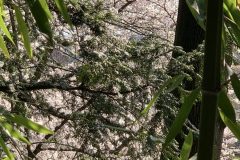 IMG_1444-scaled