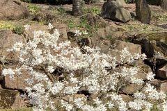 IMG_1467-scaled