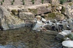IMG_1476-scaled