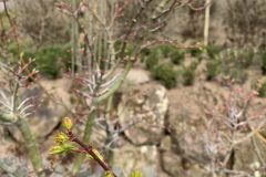 IMG_1484-scaled