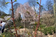 IMG_1487-scaled