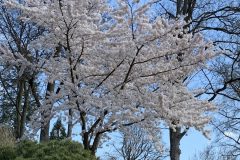 IMG_1501-scaled