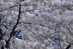 IMG_1502-scaled
