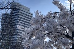 IMG_1504-scaled