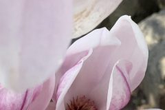 IMG_1537-scaled