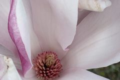 IMG_1539-scaled