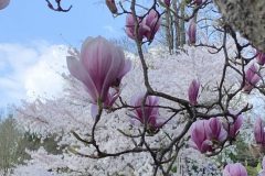 IMG_1540-scaled