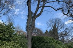 IMG_1544-scaled