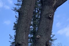 IMG_1545-scaled