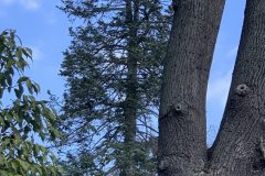 IMG_1546-scaled