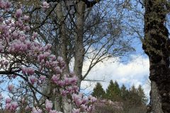 IMG_1548-scaled