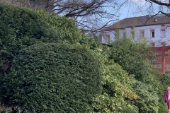 IMG_1550-scaled