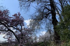 IMG_1554-scaled
