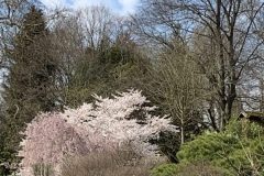 IMG_1575-scaled