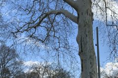 IMG_1583-scaled