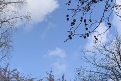 IMG_1585-scaled