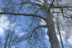 IMG_1587-scaled