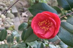 IMG_1592-scaled