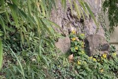 IMG_1601-scaled