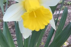 IMG_1604-scaled