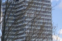 IMG_1606-scaled