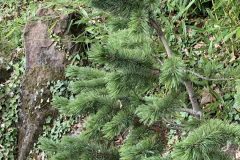 IMG_1607-scaled