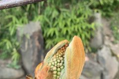 IMG_1611-scaled