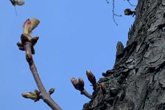 IMG_1617-scaled