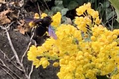 IMG_1623-scaled