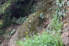 IMG_1624-scaled