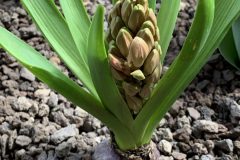 IMG_1632-scaled