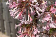 IMG_1640-scaled